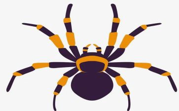 蜘蛛侠1观后感作文5篇