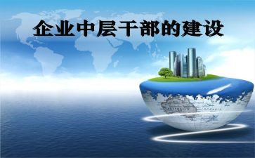 中层工作总结5篇