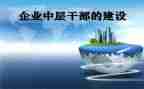 2024年中层干部述职报告6篇