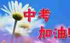 2023中考领导讲话稿7篇