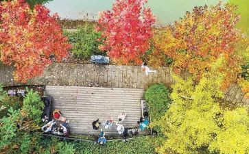 重庆劳动合同6篇