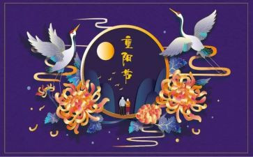 区重阳节活动总结范文7篇