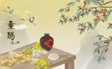 重阳节教案中班教案5篇