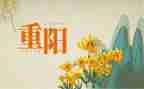 村社区重阳节活动总结5篇