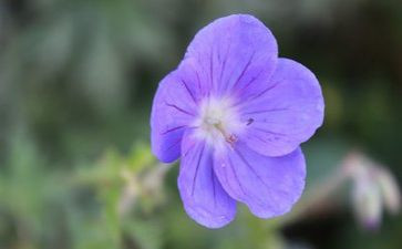 重阳节活动策划方案7篇
