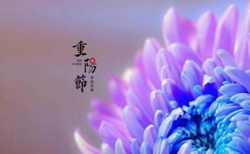 2022年重阳节400字作文5篇