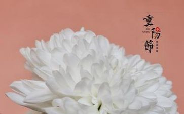小班幼儿重阳节教案5篇