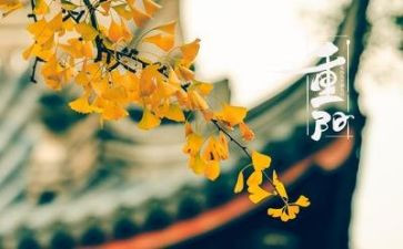 重阳节讲话稿6篇