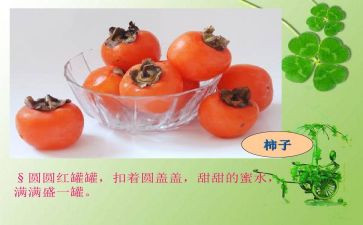 状物作文优秀范文5篇