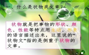 状物优秀作文参考6篇