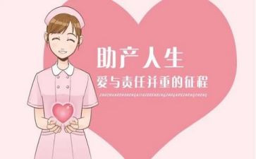 助产士工作总结8篇