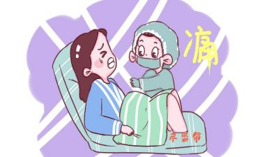 助产证工作总结6篇