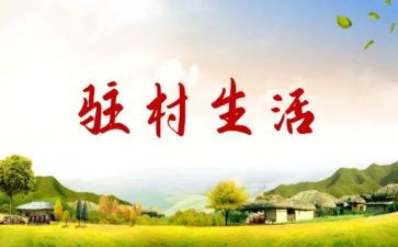 驻村队述职报告7篇