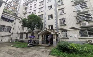 住户科2023工作总结7篇