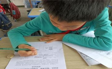 大学生助学金申请书申请书800字8篇