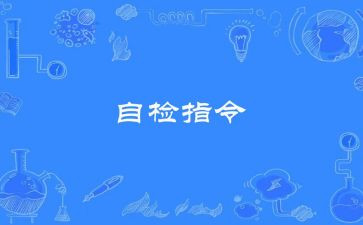 处报告自检自查报告5篇