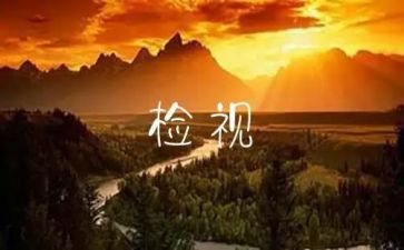 统计自检自查工作报告7篇