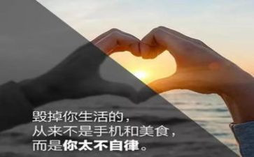 自律委的工作计划6篇