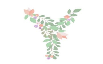 字母z的教案7篇