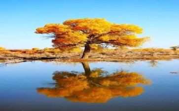 自然角观后感优质7篇