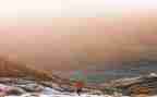 写自然的作文600字最新5篇