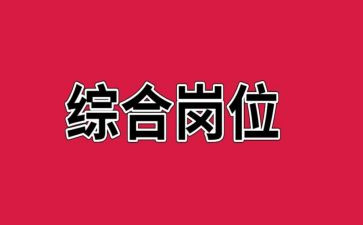 综合岗半年工作总结5篇