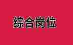 综合岗半年工作总结5篇
