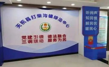 2022综治平安建设工作总结6篇