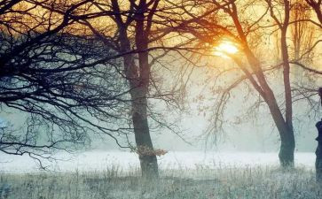 走进动物世界的作文8篇