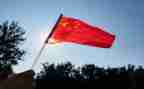 我在我的祖国演讲稿参考8篇