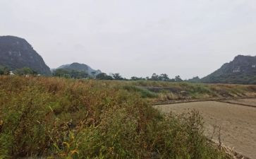 学校租赁合同模板7篇